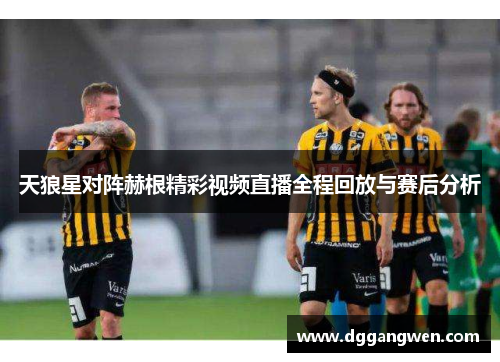 天狼星对阵赫根精彩视频直播全程回放与赛后分析